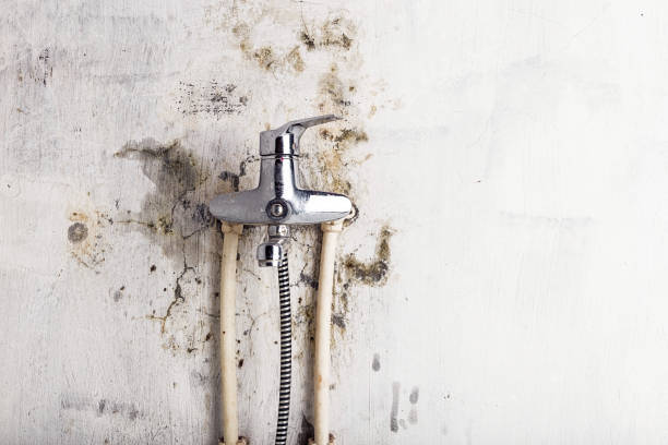 Best Water Damage Restoration  in Schriever, LA