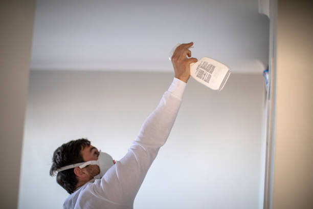 Best Fast Mold Removal  in Schriever, LA