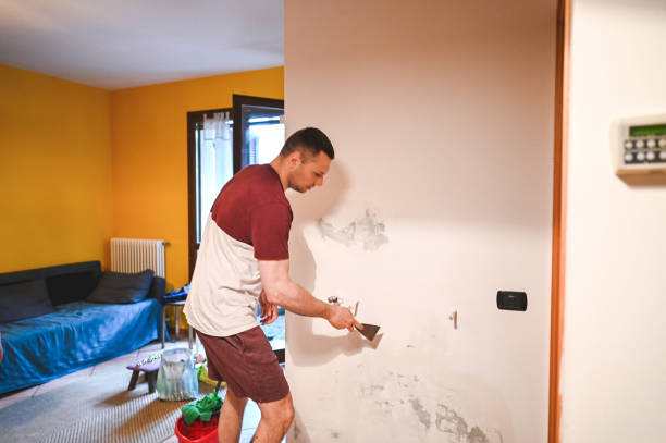 Best Home Mold Removal  in Schriever, LA