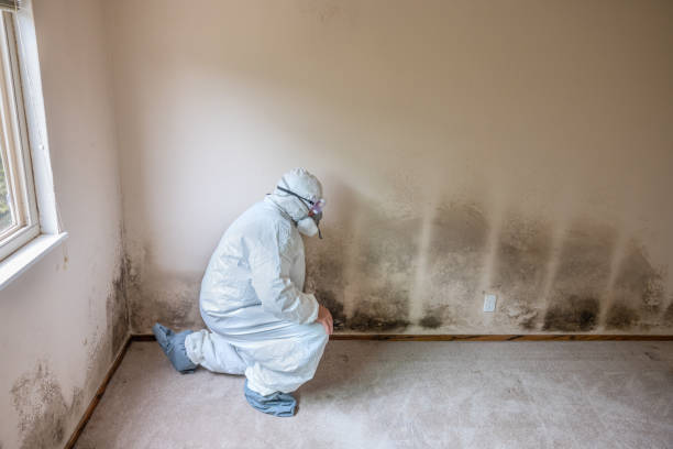 Best Crawl Space Mold Removal  in Schriever, LA