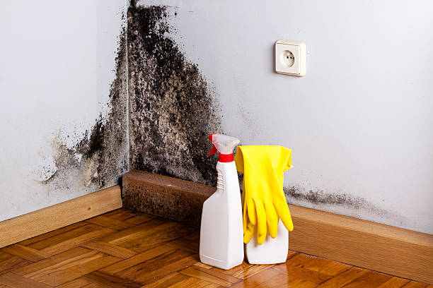 Water Damage Restoration in Schriever, LA